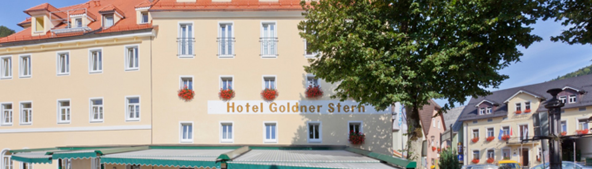 Akzent-Hotel Goldner Stern ****